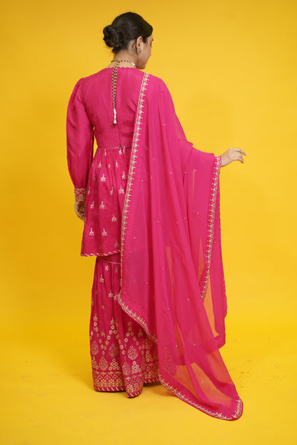 Dilruba peplum sarara set